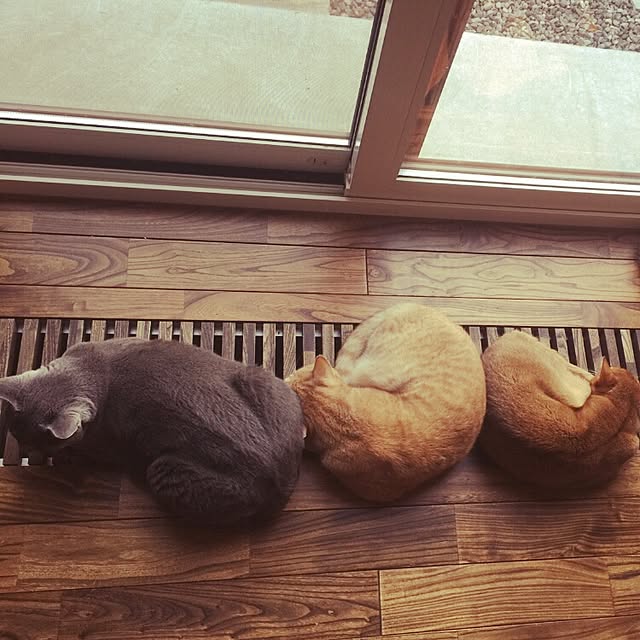 Mitsuruさんの実例写真