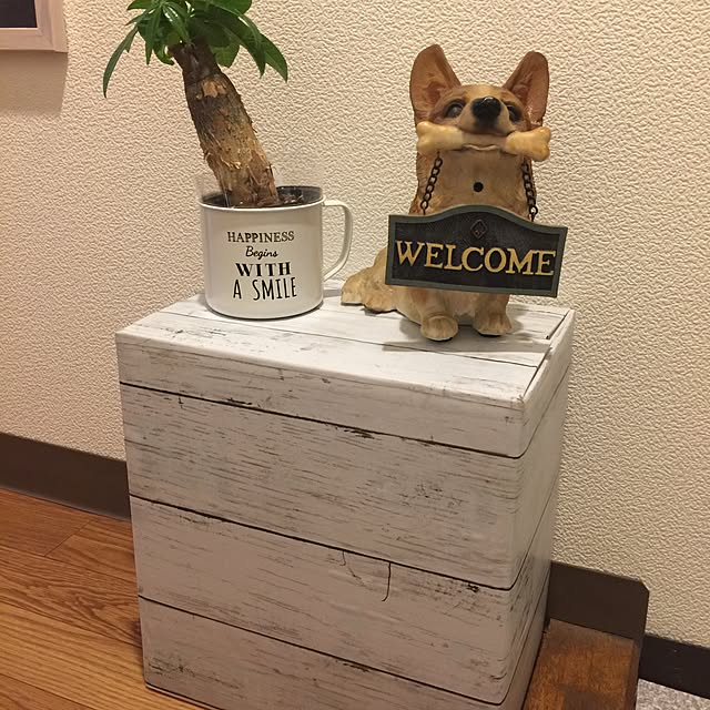 renrenさんの実例写真
