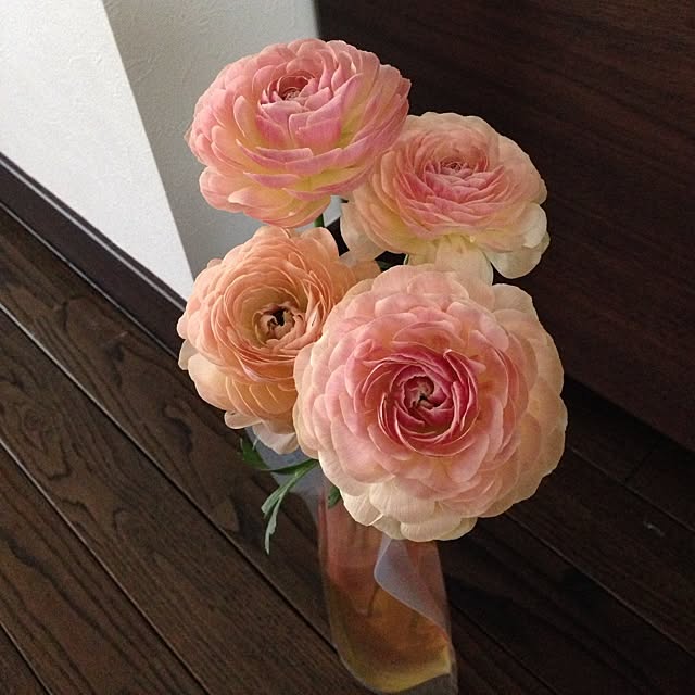 yuriさんの実例写真