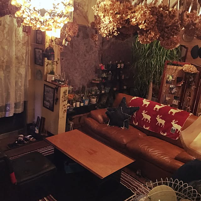 Masahideさんの実例写真