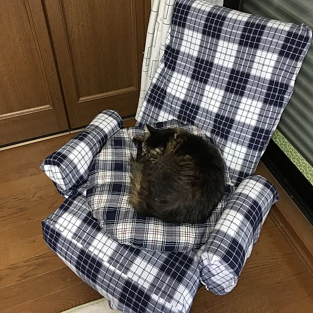 Naoさんの実例写真