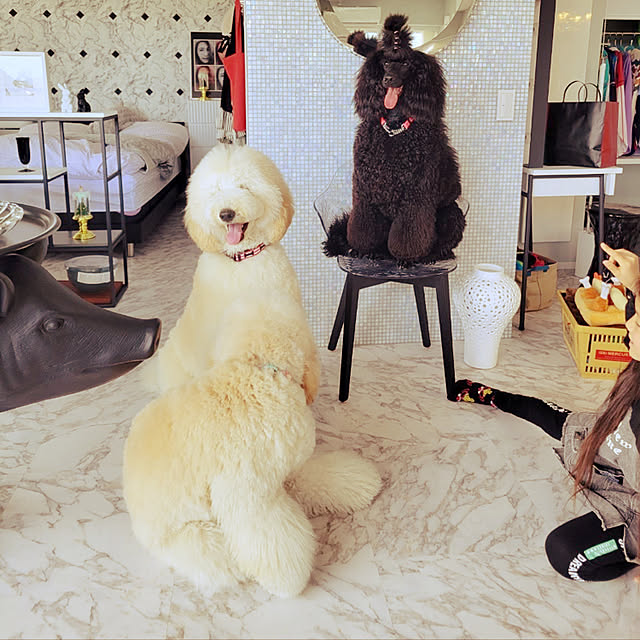 nackeyさんの実例写真
