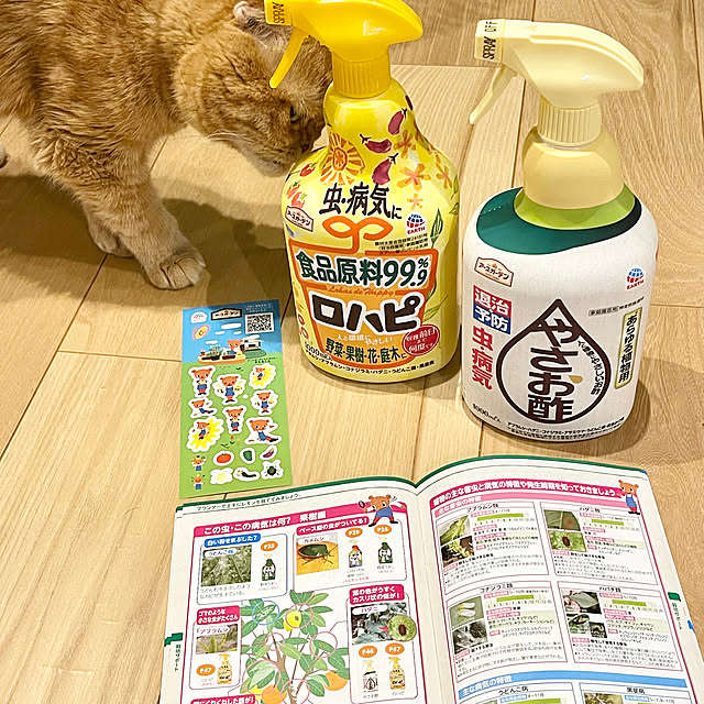 hm_myhomeさんの部屋
