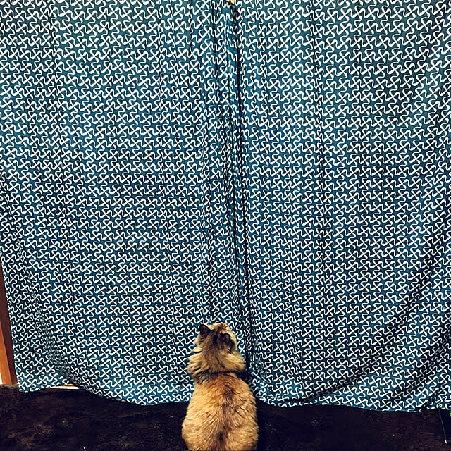 mafuさんの実例写真