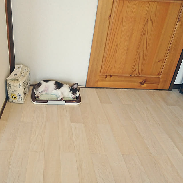 Tomokoさんの実例写真