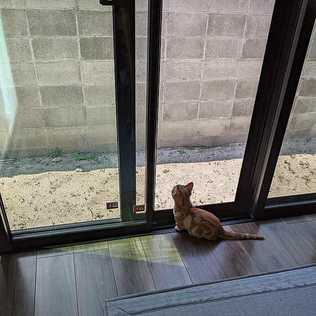 chiiさんの実例写真