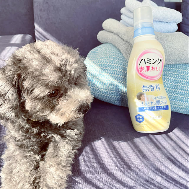 Selipさんの実例写真