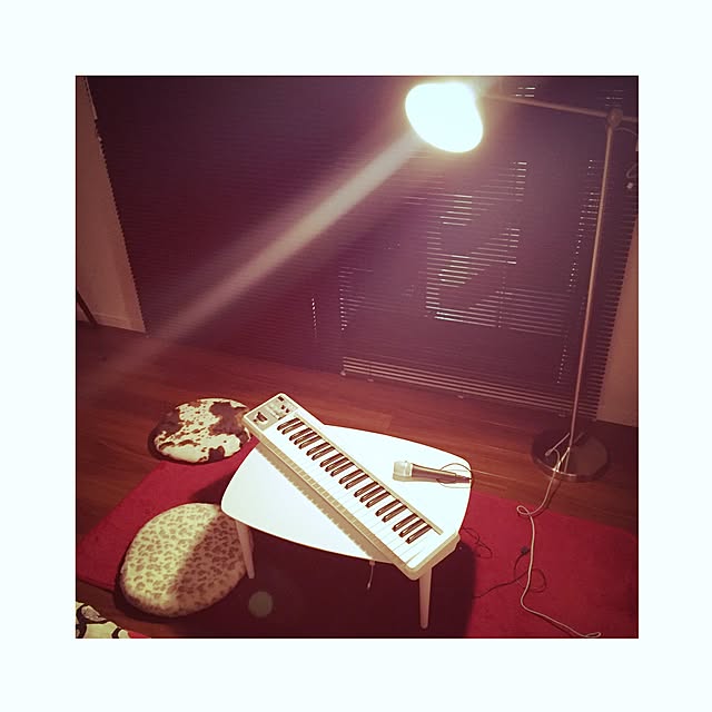 hiiikaanさんの実例写真