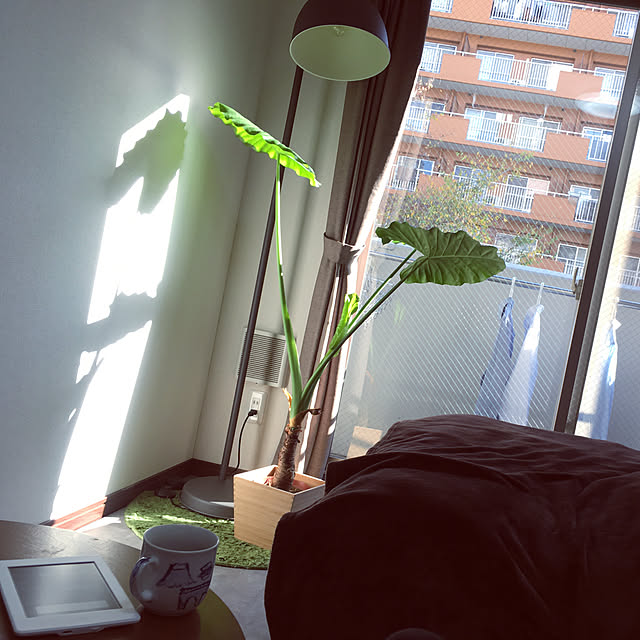OBさんの実例写真