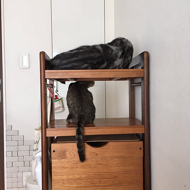 mikomaruさんの実例写真