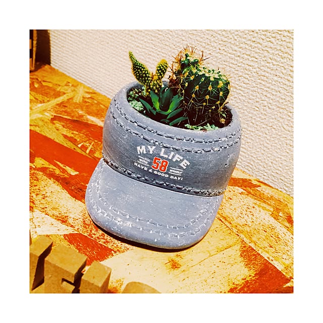 ichiさんの実例写真