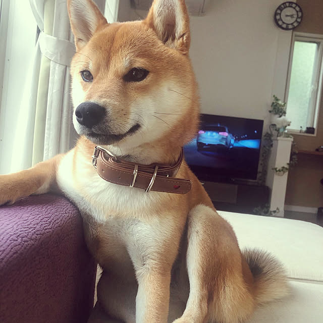 moa_momoさんの実例写真