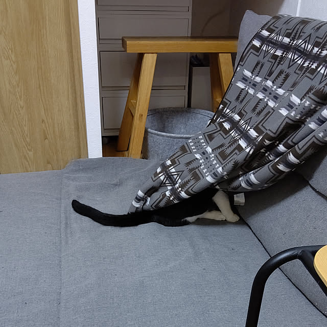 hihaさんの実例写真