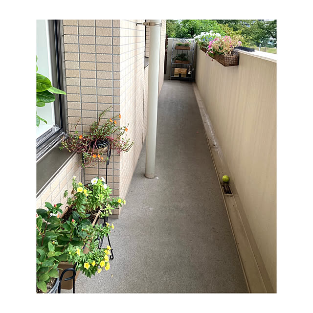 marukoさんの部屋