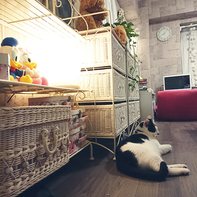 asuminさんの実例写真
