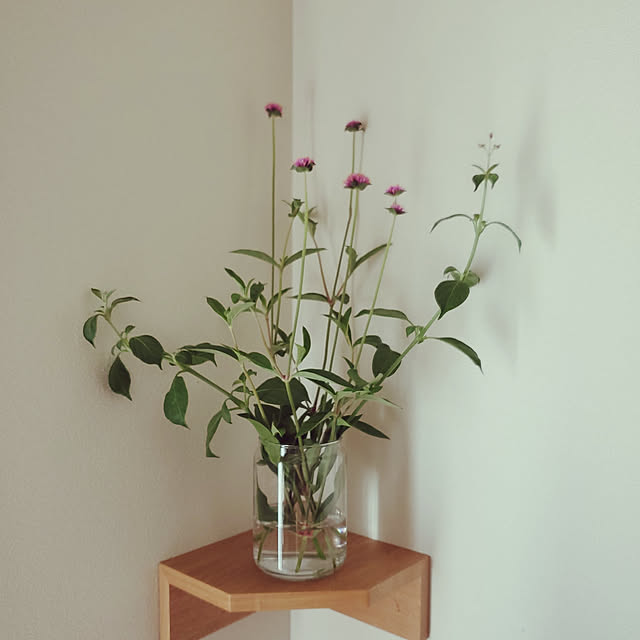 リビング/建売分譲住宅/花のある暮らし/無印良品 タモ材/壁に付けられる家具...などのインテリア実例 - 2020-08-19 13:57:20