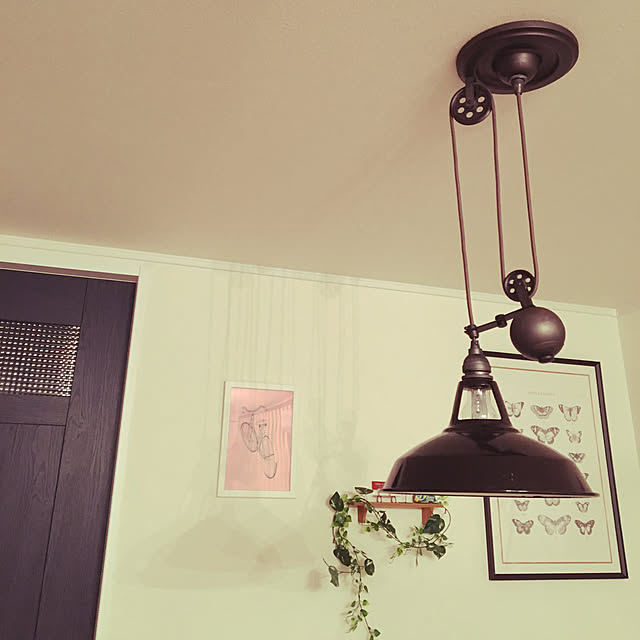 chippiさんの実例写真