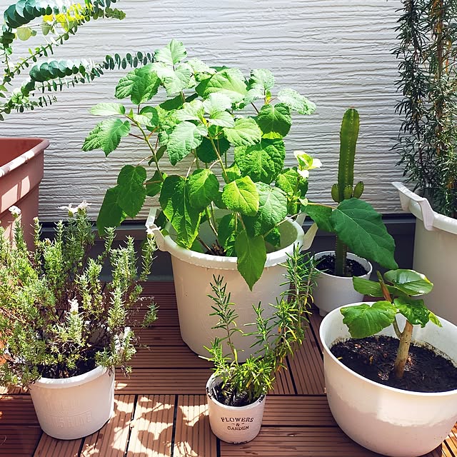 JKさんの部屋