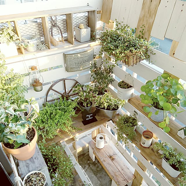 miporin0711さんの実例写真