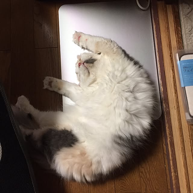 keibooさんの実例写真