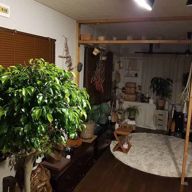 midoriさんの部屋
