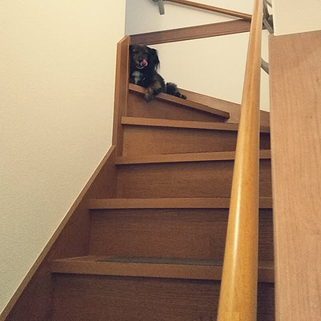 kakkoさんの実例写真
