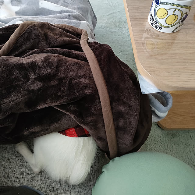 marosukeさんの実例写真