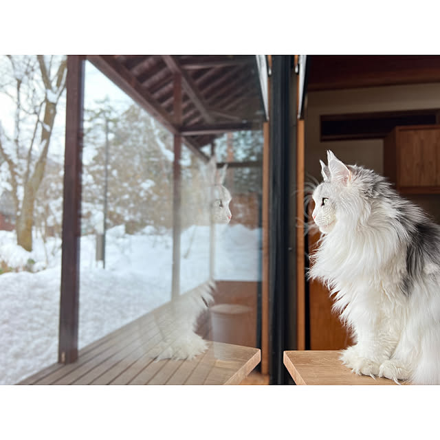 Kikko.さんの実例写真