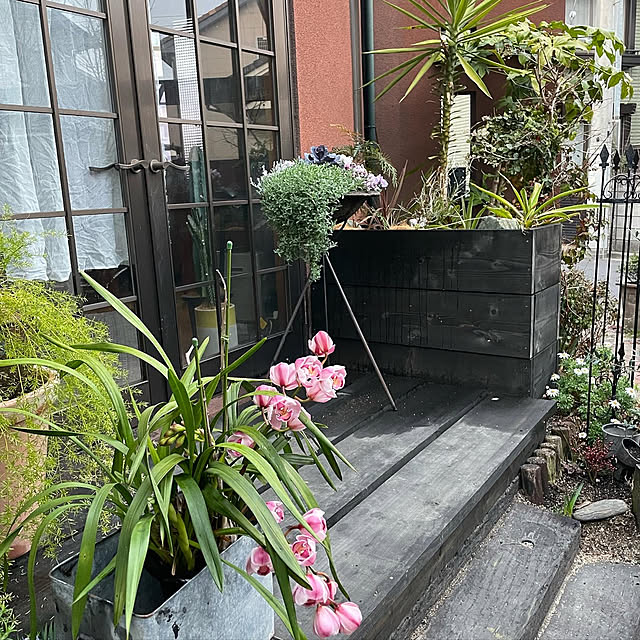 Tomokoさんの実例写真