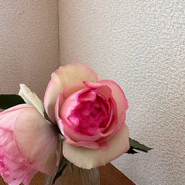 nannoさんの部屋