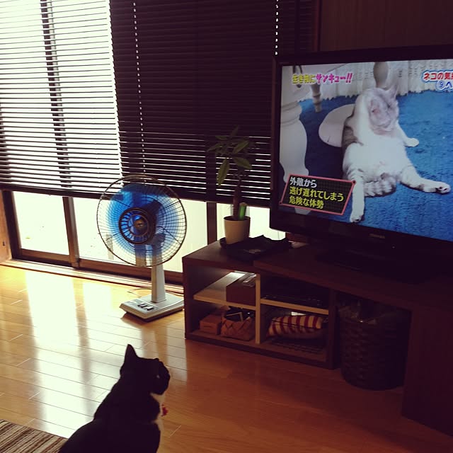 s_ugugさんの実例写真