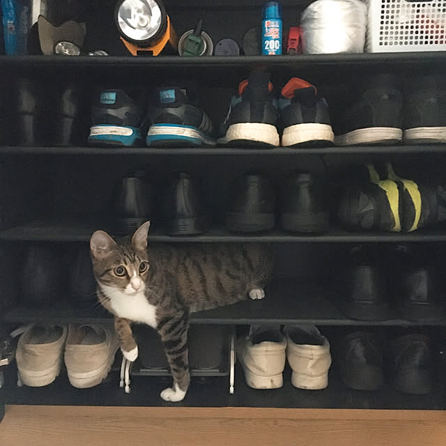 nobikoさんの実例写真