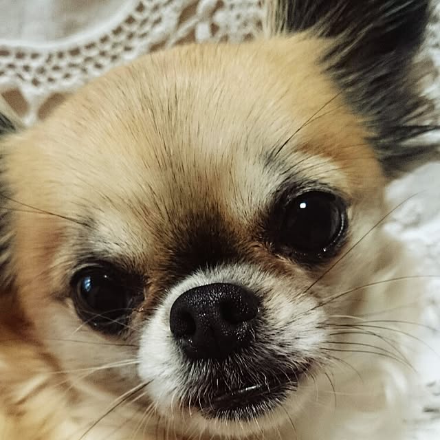 hiro1244さんの実例写真