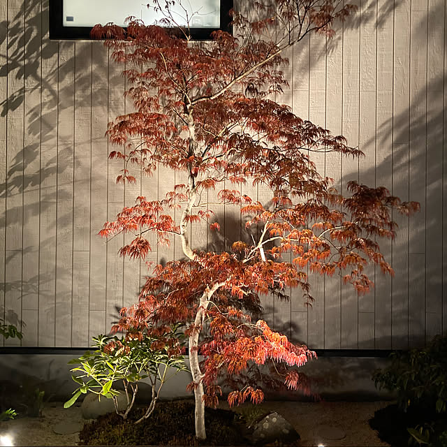 shimeji420さんの実例写真