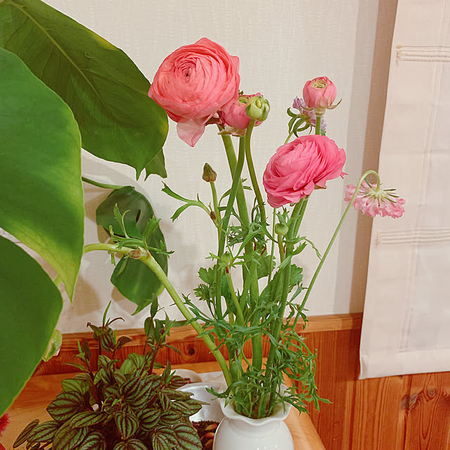 maymamさんの実例写真