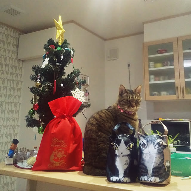 chikoさんの実例写真