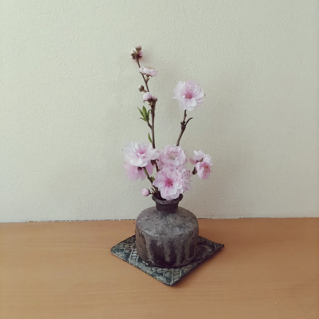 YUKOさんの実例写真