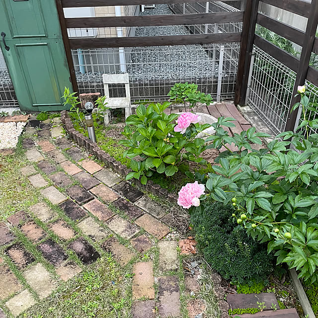 t-famさんの実例写真