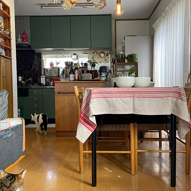 nobikoさんの部屋