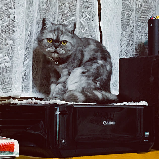 Marinさんの実例写真