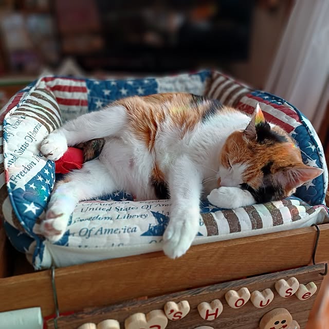 nanaさんの部屋
