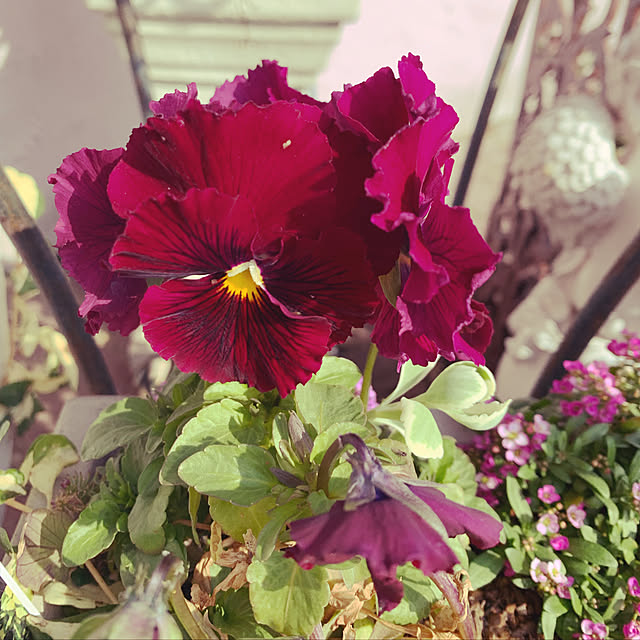 AYUKOさんの実例写真