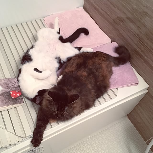 mikomaruさんの実例写真