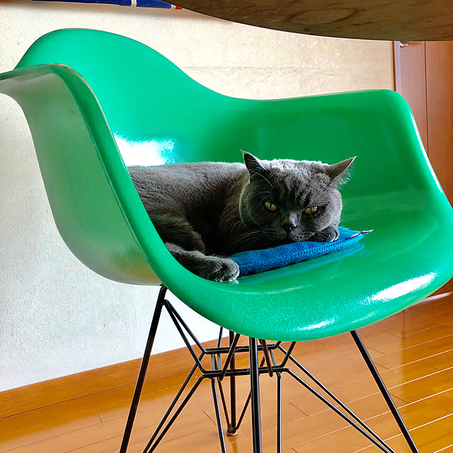 Shojiさんの実例写真