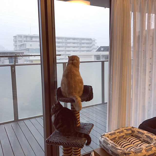 hiyupan88さんの実例写真