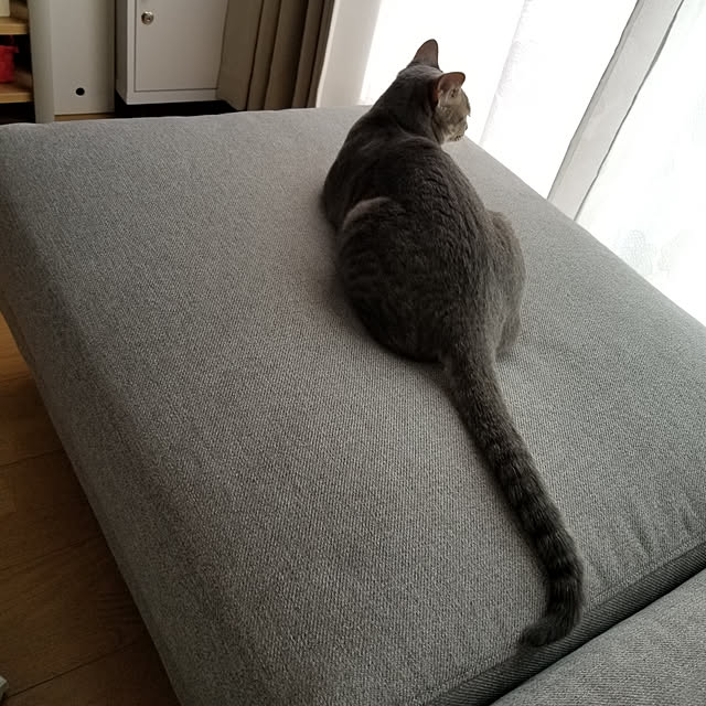 yukiさんの実例写真