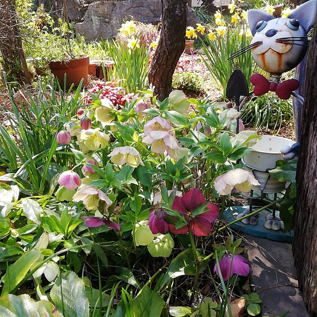 haruiroさんの部屋