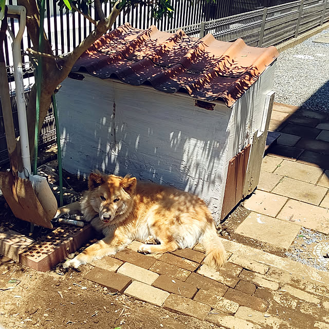 Ri-さんの実例写真