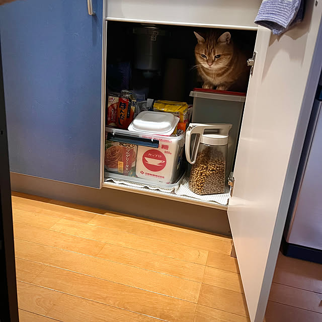 k.mさんの実例写真