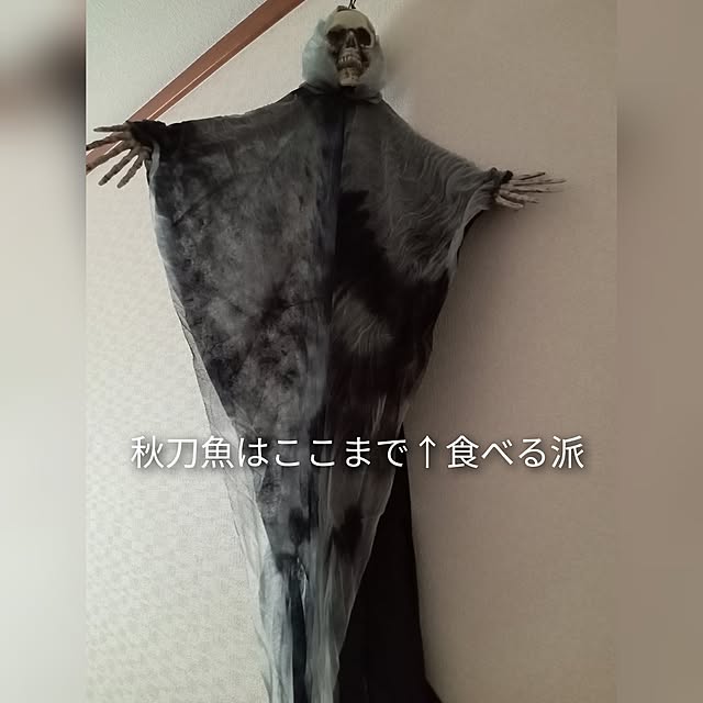 moruさんの部屋